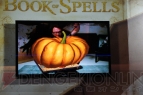 『Book of Spells』