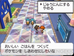 『ポケットモンスターブラック2・ホワイト2』