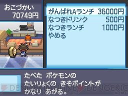『ポケットモンスターブラック2・ホワイト2』
