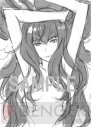 『アンチェインブレイズ エクシヴ』