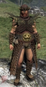 『ドラゴンズドグマ』