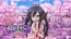 『桜花センゴク Portable』