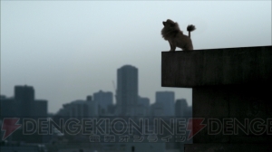 渋谷のスクランブル交差点に動物が出現!? 『TOKYO JUNGLE』20万本突破記念でスペシャルCMを放送