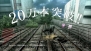 『TOKYO JUNGLE』