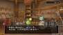 『ドラゴンクエストX 目覚めし五つの種族 オンライン』