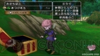 『ドラゴンクエストX 目覚めし五つの種族 オンライン』