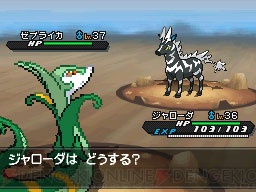 『ポケットモンスターブラック2・ホワイト2』