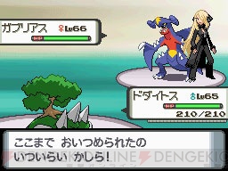 数量は多 ポケモンゲーム サントラ その他
