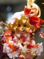 WF2012［夏］