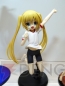 ワンダーフェスティバル2012［夏］