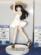ワンダーフェスティバル2012［夏］