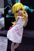ワンダーフェスティバル2012［夏］