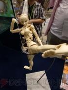 ワンダーフェスティバル2012［夏］