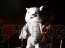 “Falcom jdk BAND 2012 Super Live”