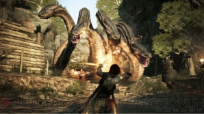 『ドラゴンズドグマ』