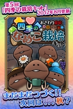 『なめこ栽培キット』