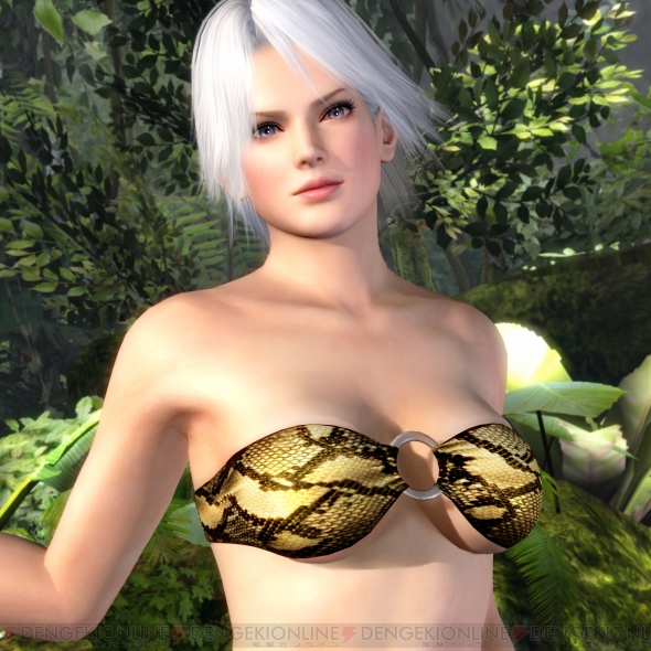 『DEAD OR ALIVE 5』