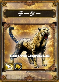 『サムライ＆ドラゴンズ』