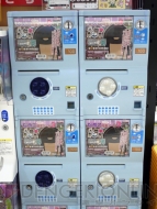 東京なめこ市場