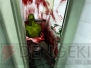 『CHAOS；HEAD（カオスヘッド）』