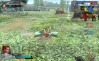 『真・三國無双 Online ～龍神乱舞～』