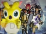 TGS2012