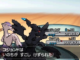 『ポケットモンスターブラック2・ホワイト2』