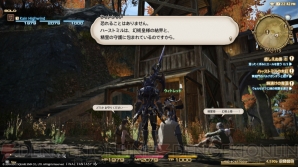 『ファイナルファンタジーXIV：新生エオルゼア』