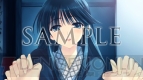 『WHITE ALBUM2 幸せの向こう側』