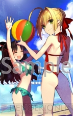 『フェイト／エクストラ CCC』