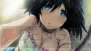 『STEINS；GATE』