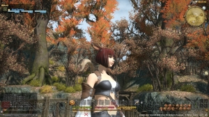 『旧ファイナルファンタジーXIV』と『新生ファイナルファンタジーXIV』は似ていても何もかもが違う――αテストを経て吉田プロデューサーが語る