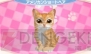 『かわいい子猫3D』