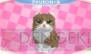 『かわいい子猫3D』