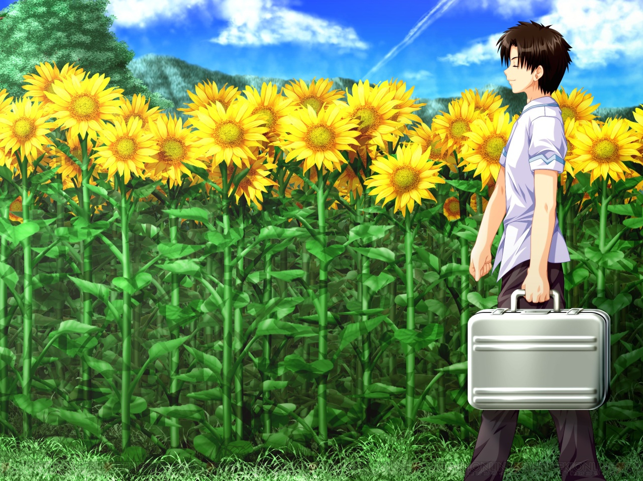 名作ヒューマンドラマ 車輪の国 向日葵の少女 がps3にて開花する 電撃オンライン 名作ヒューマンドラマ 車輪の国 向日葵の少女 がps3にて開花する 電撃オンライン