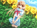 『車輪の国、向日葵の少女』