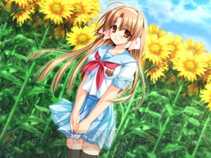 名作ヒューマンドラマ『車輪の国、向日葵の少女』がPS3にて開花する