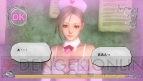 『ヴァルハラナイツ3』