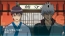 『銀魂のすごろく』