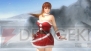 『DEAD OR ALIVE 5』