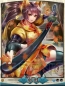 『天下統一クロニクル』