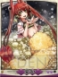 『天下統一クロニクル』