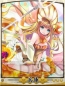 『天下統一クロニクル』