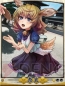 『天下統一クロニクル』