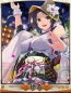 『天下統一クロニクル』