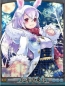 『天下統一クロニクル』