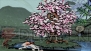 『大神 絶景版』