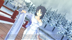『閃乱カグラ SHINOVI VERSUS －少女達の証明－』