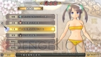 『閃乱カグラ SHINOVI VERSUS －少女達の証明－』