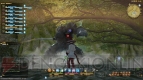 『ファイナルファンタジーXIV： 新生エオルゼア』